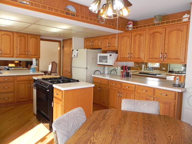 1331 W Meyer Dr, Addison, IL 60101 photo 11