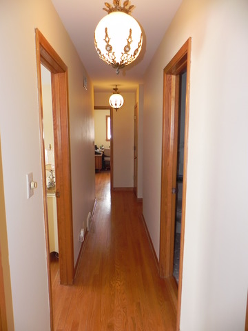1331 W Meyer Dr, Addison, IL 60101 photo 13