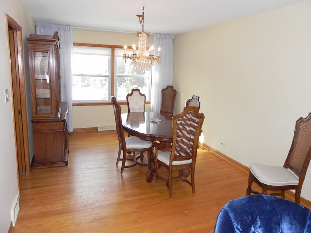1331 W Meyer Dr, Addison, IL 60101 photo 4