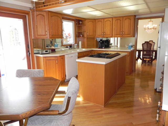 1331 W Meyer Dr, Addison, IL 60101 photo 10