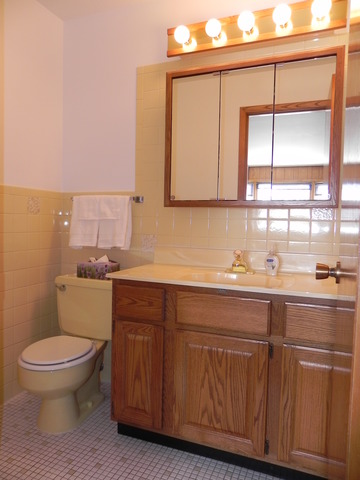 1331 W Meyer Dr, Addison, IL 60101 photo 9