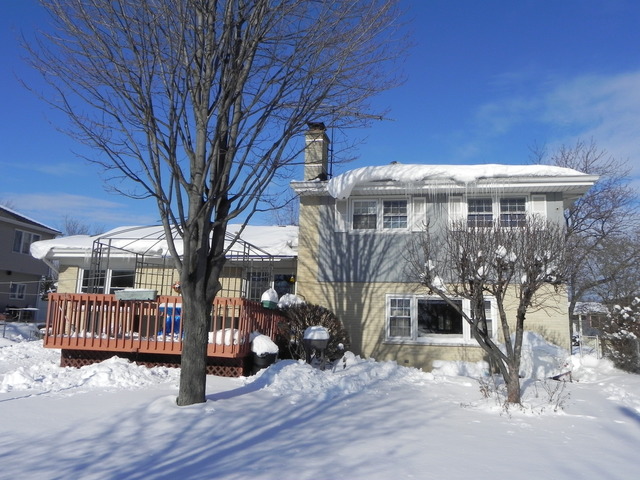 1331 W Meyer Dr, Addison, IL 60101 photo 23