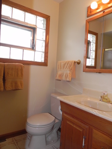 1331 W Meyer Dr, Addison, IL 60101 photo 18