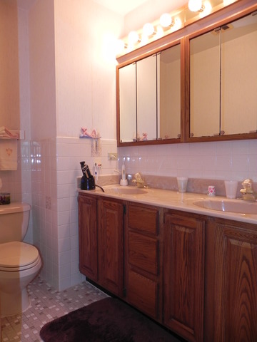 1331 W Meyer Dr, Addison, IL 60101 photo 19