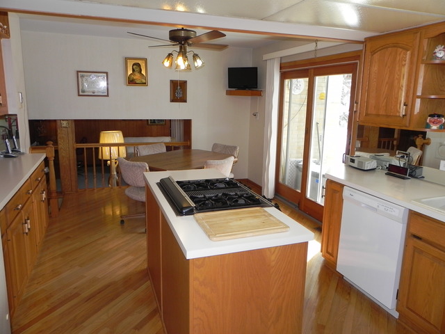 1331 W Meyer Dr, Addison, IL 60101 photo 12