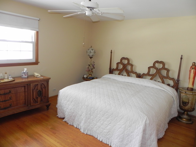 1331 W Meyer Dr, Addison, IL 60101 photo 14
