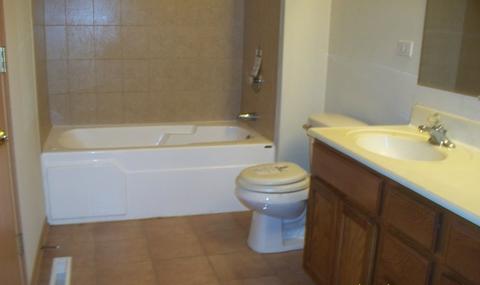16235 Turner Ave, Markham, IL 60428 photo 3