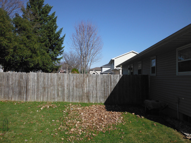 803 26th St, Peru, IL 61354 photo 13