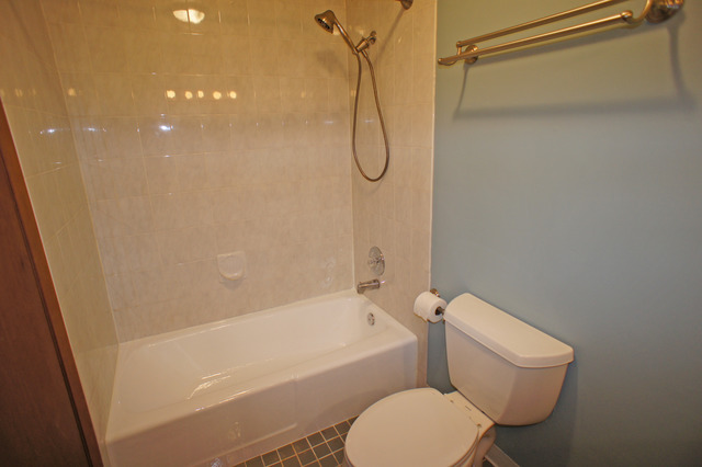 405 Bode Rd, Hoffman Estates, IL 60169 photo 17