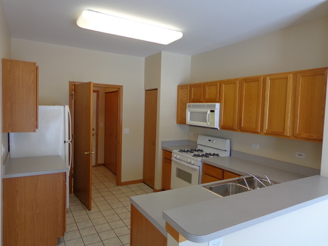 21340 W Juniper Ln, Plainfield, IL 60544 photo 4