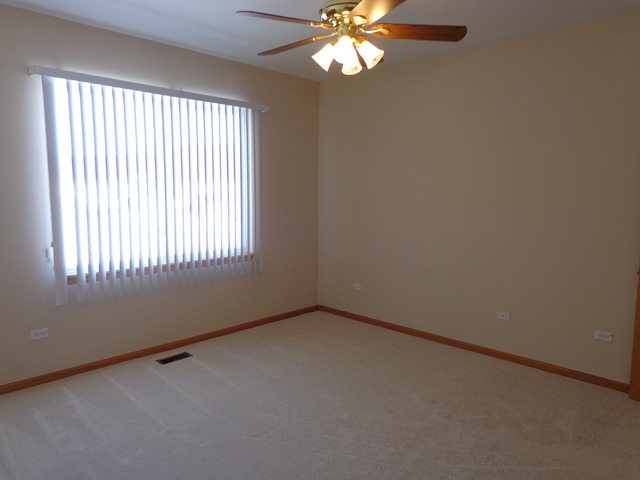 21340 W Juniper Ln, Plainfield, IL 60544 photo 7