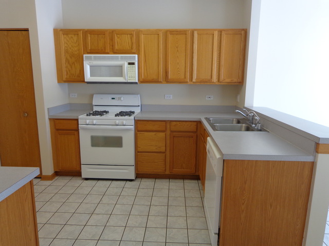 21340 W Juniper Ln, Plainfield, IL 60544 photo 5
