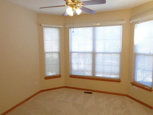 21340 W Juniper Ln, Plainfield, IL 60544 photo 10