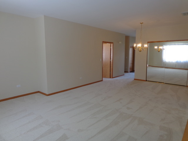 21340 W Juniper Ln, Plainfield, IL 60544 photo 3