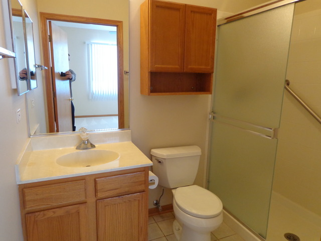 21340 W Juniper Ln, Plainfield, IL 60544 photo 8
