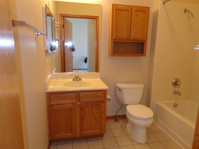 21340 W Juniper Ln, Plainfield, IL 60544 photo 11