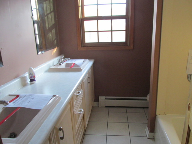 461 S Commonwealth Ave, Elgin, IL 60123 photo 8