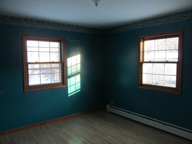 461 S Commonwealth Ave, Elgin, IL 60123 photo 6