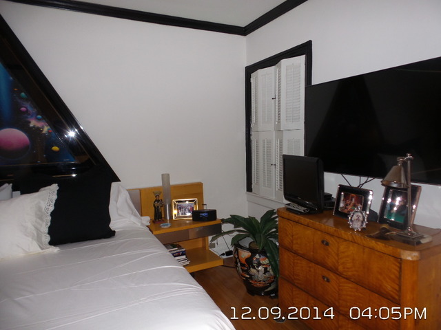 210 E Pearson St #1a, Chicago, IL 60611 photo 7