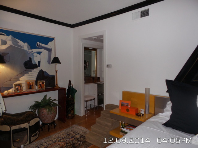 210 E Pearson St #1a, Chicago, IL 60611 photo 8