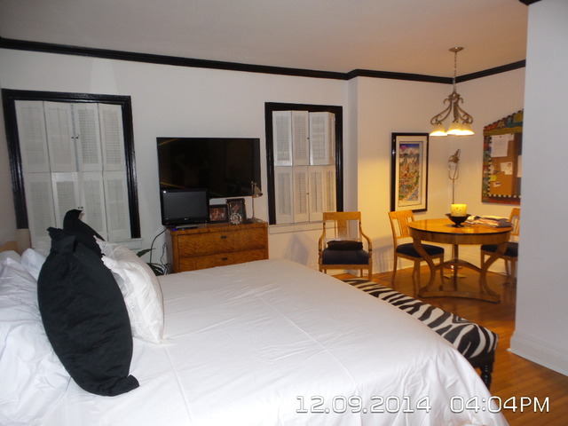 210 E Pearson St #1a, Chicago, IL 60611 photo 5