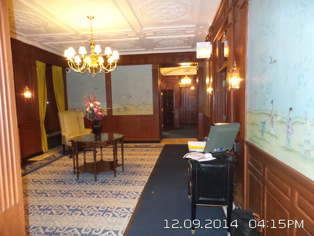 210 E Pearson St #1a, Chicago, IL 60611 photo 13
