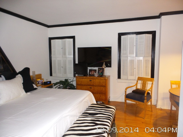 210 E Pearson St #1a, Chicago, IL 60611 photo 4