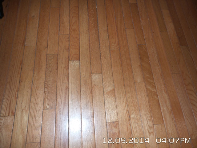 210 E Pearson St #1a, Chicago, IL 60611 photo 12