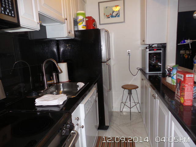 210 E Pearson St #1a, Chicago, IL 60611 photo 3