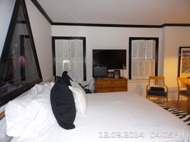 210 E Pearson St #1a, Chicago, IL 60611 photo 9