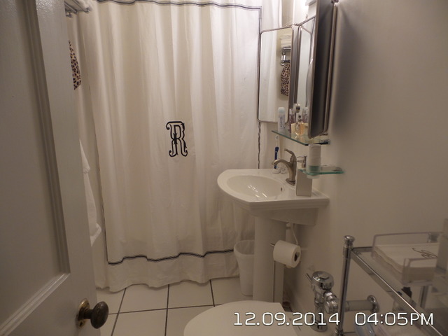 210 E Pearson St #1a, Chicago, IL 60611 photo 2