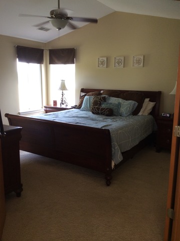 2803 Crested Butte Trl, Plainfield, IL 60586 photo 10