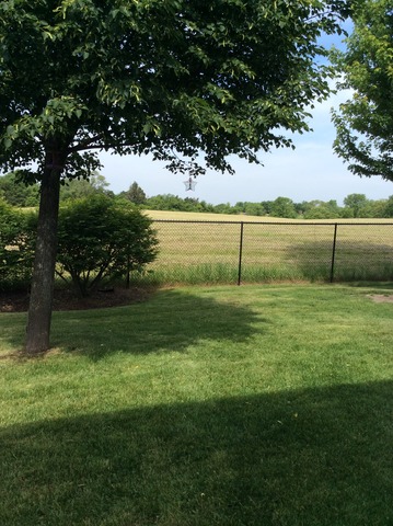 2803 Crested Butte Trl, Plainfield, IL 60586 photo 20