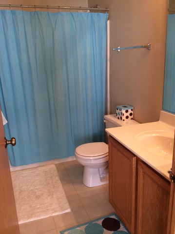 2803 Crested Butte Trl, Plainfield, IL 60586 photo 12