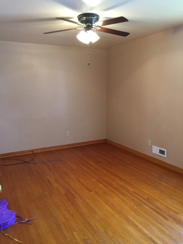103 Elm St, Spring Valley, IL 61362 photo 3
