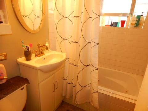4302 Maple Ave, Stickney, IL 60402 photo 9