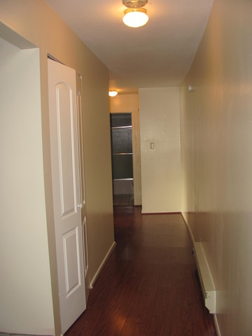 9724 S Karlov Ave #107, Oak Lawn, IL 60453 photo 8