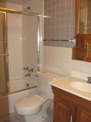 9724 S Karlov Ave #107, Oak Lawn, IL 60453 photo 9