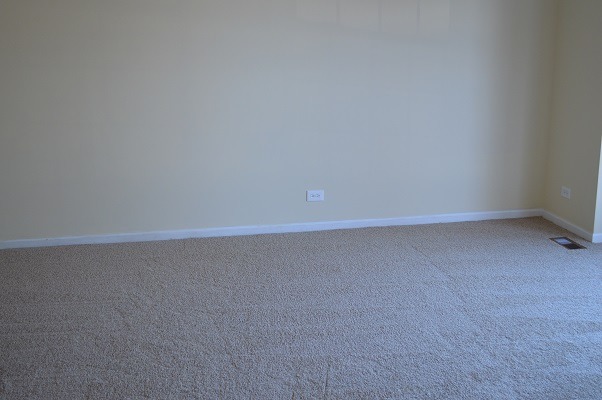 830 Southwick Dr, Algonquin, IL 60102 photo 8