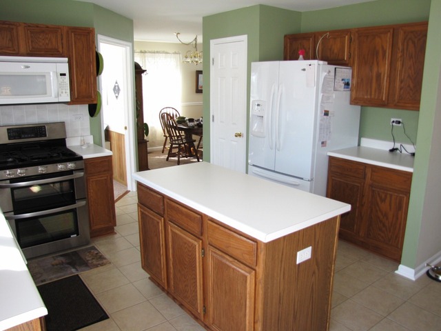 1347 Beacon Ln, Bartlett, IL 60103 photo 11
