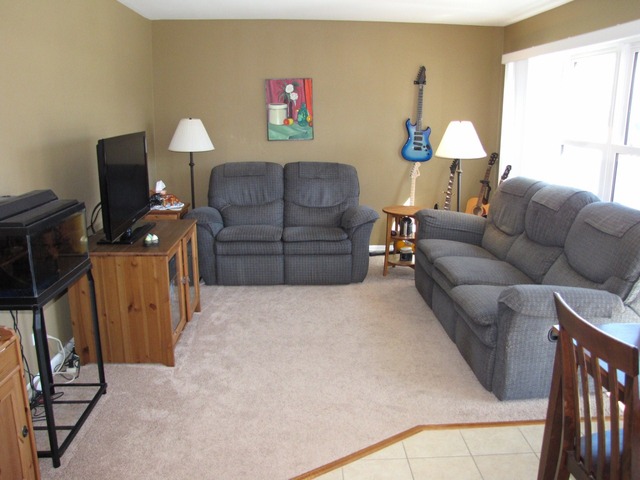 1347 Beacon Ln, Bartlett, IL 60103 photo 13