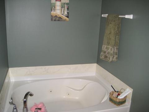 1016 Wise St, Elburn, IL 60119 photo 14