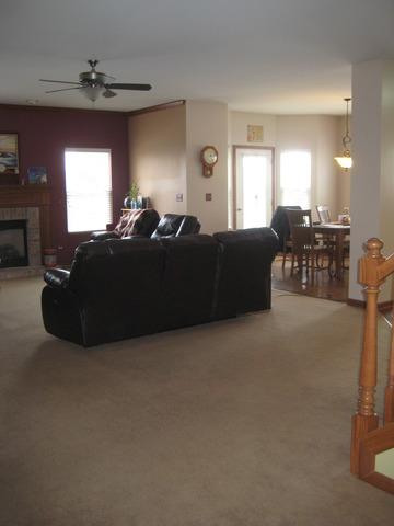 1016 Wise St, Elburn, IL 60119 photo 8