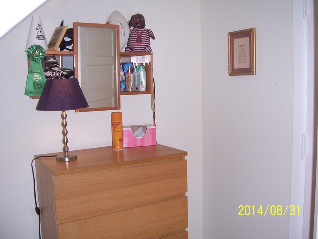 4339 Joliet Ave, Lyons, IL 60534 photo 7