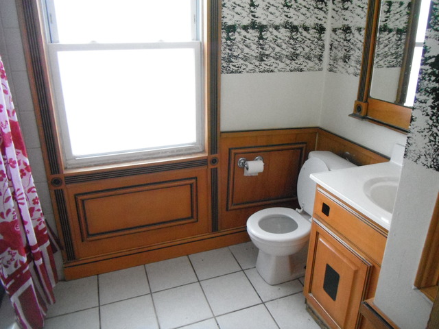 547 End Ave, Hillside, IL 60162 photo 6
