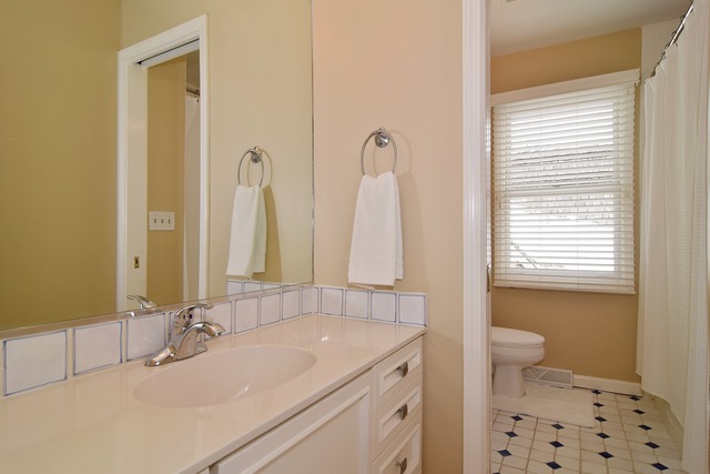 664 Grange Ct, Wheaton, IL 60189 photo 19