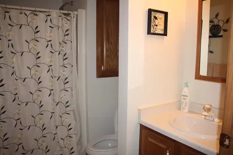417 Oak St, Spring Valley, IL 61362 photo 15