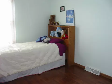 417 Oak St, Spring Valley, IL 61362 photo 14
