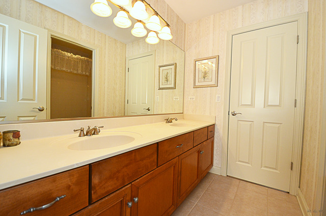 1210 S Commons Dr, Aurora, IL 60504 photo 23