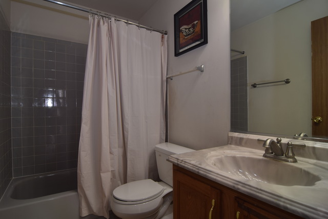 1651 Colfax Ct #3, Bartlett, IL 60103 photo 13